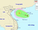Vùng áp thấp mạnh lên, khả năng ảnh hưởng trực tiếp miền Bắc, miền Trung