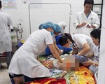 Đang chơi trước nhà, bé gái 22 tháng tuổi bị chó hàng xóm cắn tử vong