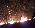 150 ha rừng keo cháy ngùn ngụt, quân dân Quảng Nam trắng đêm dập lửa