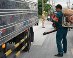 TP.HCM hỗ trợ tiền cho lực lượng phòng, chống dịch tả heo châu Phi