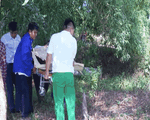 Video: Xe 7 chỗ lao xuống mương, 6 người thương vong