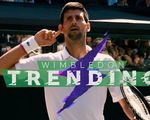 Video pha giằng co với 45 cú đánh giữa Djokovic với Bautista ở Wimbledon 2019