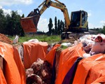 Dịch tả heo châu Phi lan nhanh gần hết Đồng Nai