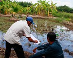 TP.HCM nghiên cứu thí điểm cho xây công trình trên đất nông nghiệp