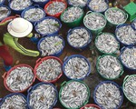 Dốc sức gỡ 