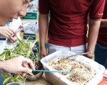 Lạ lẫm và thích thú với sâu canxi, VR tại ngày hội tư vấn xét tuyển