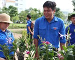 Chiến sĩ Mùa hè xanh về giúp dân xây dựng nông thôn mới