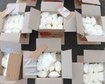 Chở ma túy đá lại tông ngay xe cảnh sát