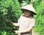 Cô giáo trẻ phát triển 