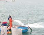 Hiện vật thu được không đáng kể, tạm dừng khai quật tàu cổ chìm ở Dung Quất