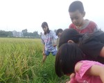 Mùa hè đưa trẻ ra đồng