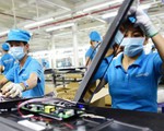 Vợ chủ tịch Asanzo và một số cá nhân đã rút ra hơn 500 tỉ đồng