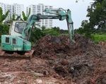 TP.HCM: Xuất hiện ổ dịch tả heo châu Phi thứ 2