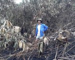 Yêu cầu ngân hàng 10 tỉnh hỗ trợ người vay bị thiệt hại do cháy rừng