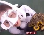 Bắt trái phép sò 