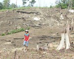 Cảnh cáo 3 nguyên lãnh đạo tỉnh Đắk Nông