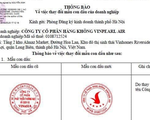 Vingroup lập Hãng hàng không Vinpearl Air