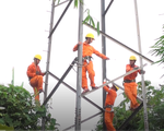 Video: Hàng loạt thanh giằng chịu lực trụ điện cao thế bị đánh cắp