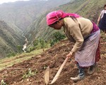 40 năm người dân giữ gìn biên cương phía Bắc - Kỳ 1: Trở về vùng trắng