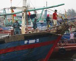 Chủ động sơ tán dân, không để người dân ở trên tàu thuyền khi bão vào