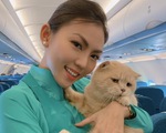 Chú mèo tên... Chó đi máy bay khoang hành khách làm dân mạng choáng váng