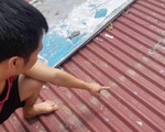 Trộm dỡ mái tôn đột nhập tiệm vàng lấy 1,8 tỉ