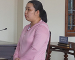 Con gái làm giả sổ đỏ lừa mẹ nuôi mua đất, lãnh 7 năm tù