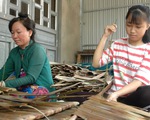 Sự sống mong manh, vẫn "băng qua" trúng tuyển cao đẳng y