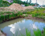Rớt xuống hố điện lực không rào chắn, bé trai 4 tuổi chết đuối