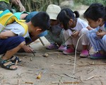 Cho con chạm vào thiên nhiên