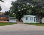 Thi uống rượu giỏi 