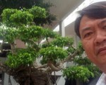 Khởi tố, bắt giam nguyên trưởng Phòng tài nguyên và môi trường Côn Đảo
