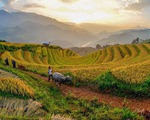 Mù Cang Chải muốn làm du lịch 