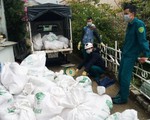 Phạt 100 triệu đồng cơ sở bán thịt heo ôi thiu