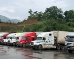 Chấp nhận mẫu C/O mẫu E mới do Trung Quốc cấp, hết cảnh ùn ứ ở cửa khẩu