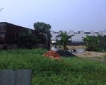 Cán bộ thuế TP.HCM 