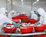 Chính sách hay nhưng không được hưởng