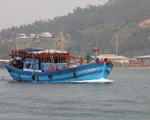Đà Nẵng còn 6 tàu cá với 49 lao động nằm trong vùng nguy hiểm
