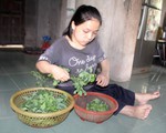 Tiếp sức đến trường: Nhỏ Lệ không rơi nước mắt