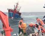 Video: Chạy bão, một tàu cá bị chết máy trôi dạt trên biển
