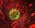 Phát hiện thêm đột biến gen có khả năng ngăn lây nhiễm HIV