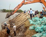 Cà Mau đánh chìm sà lan ngăn sạt lở đê biển Tây
