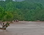 Cứu người mắc kẹt trên cây nhiều giờ trong lũ dữ