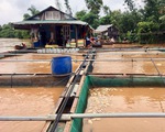 Di dời hàng trăm hộ dân khỏi khu vực ngập lụt ven sông Đồng Nai