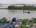 Nước lũ trên sông Tiền đã vượt báo động 1
