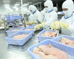 Thực phẩm chế biến Việt Nam dò dẫm vào EU