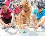 Nói không với thịt chó, tôi ủng hộ!