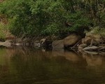 10 bạn trẻ rủ nhau vô rừng sâu Hồ Tiên chơi, 1 người chết, 1 mất tích