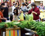Túi nilông: có gọi đúng tên mới thu đủ thuế