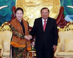 Chủ tịch Quốc hội Việt Nam hội kiến Tổng bí thư, Chủ tịch nước Lào